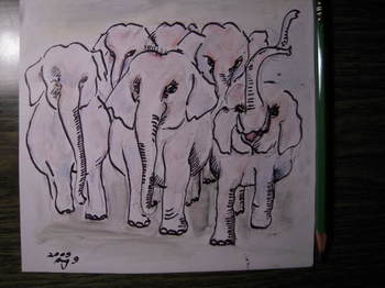 angry elephants heading for the Oppel factory.JPG